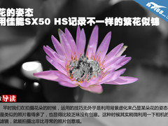 花的姿态 用佳能SX50 HS记录繁花似锦