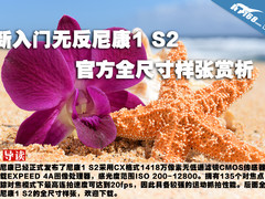 新入门无反尼康1 S2官方全尺寸样张赏析
