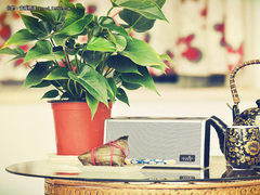 浓浓怀旧风 艾特铭客 诺曼底音箱图赏