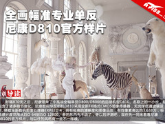全画幅准专业单反 尼康D810官方样片