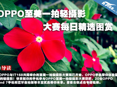 OPPO至美一拍轻摄影大赛每日精选图赏