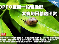 OPPO至美一拍轻摄影大赛每日精选图赏