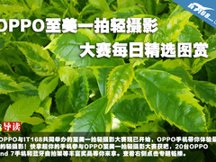 OPPO至美一拍轻摄影大赛每日精选图赏