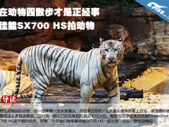 在动物园散步 佳能SX700 HS拍动物