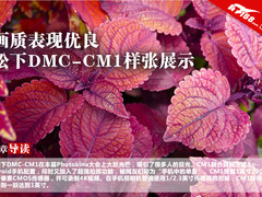 画质表现优良 松下DMC-CM1样张展示