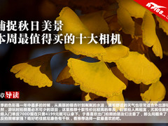 捕捉秋日美景 本周最值得买的十大单反