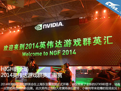 HIGH翻全场 2014英伟达游戏群英汇图赏