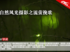 摄影样片：风光摄影之流萤挽歌