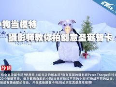 小狗当模特 摄影师教你拍创意圣诞贺卡