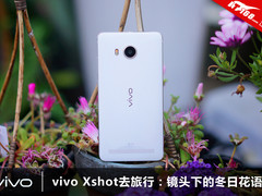 vivo Xshot去旅行：镜头下的冬日花语