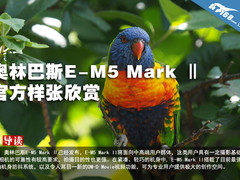 奥林巴斯E-M5 Mark Ⅱ官方样张欣赏