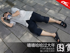 嘻嘻哈哈过大年 IT汪撒欢儿随心照图赏
