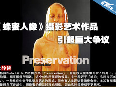 《蜂蜜人像》摄影艺术作品引起巨大争议