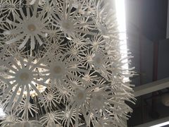 nubia Z9 Max随手拍：清新居家小风范