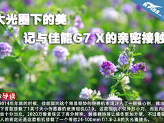 大光圈下的美 记与佳能G7 X的亲密接触