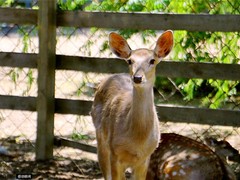 手机摄影大赛 让你看到不一样的大自然