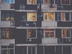 手机摄影大赛 全新全主题精选作品来啦