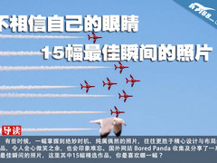 不相信自己的眼睛 15幅最佳瞬间的照片