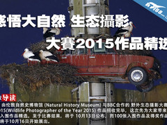 感悟大自然 生态攝影大賽2015作品精选
