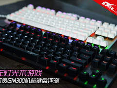 无灯光不游戏 新贵GM300机械键盘试玩
