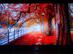 创维55S9300电视4K本地视频播放,图集