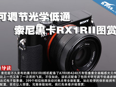 可调节光学低通 索尼黑卡RX1RII图赏