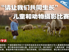 "请让我们共同生长"儿童和动物摄影比赛