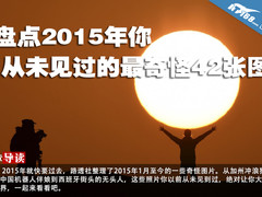 盘点2015年你从未见过的最奇怪42张图