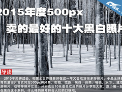 2015年度500px卖的最好的十大黑白照片