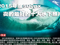 2015年度500px卖的最好的十大水下照片
