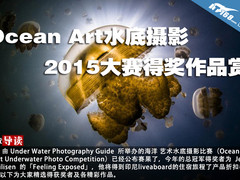 Ocean Art水底摄影2015大赛得奖作品赏
