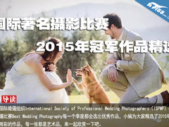 国际著名婚摄比赛2015年冠军作品精选