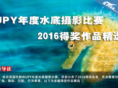 UPY年度水底摄影比赛2016得奖作品精选