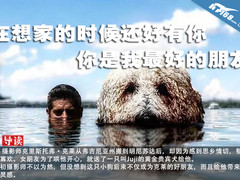 感人故事 | 在想家的时候，还好有你