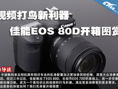 视频打鸟新利器 佳能EOS 80D开箱图赏