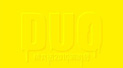 ����������Ѹ2010�ݳ��ᣨ6��30�գ�DUO