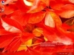 微软Windows 8 China版试用截图被曝光