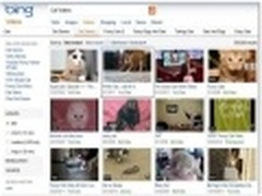 方便搜索 微软发布更新Bing Video应用