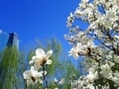 Win7小白训练营：巧施计找回误删文件