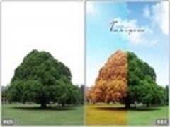 分割夏天与秋天 美图秀秀创意双色调