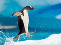 新手玩系统教程：Win7右键菜单的小秘密