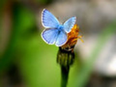 释放灵感 好照片Windows版浪漫“上色”