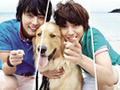 美图秀秀网页版 新增不规则拼图模版