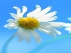 不可错过 微软Widnows 8系统热点汇总