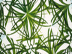 意想不到 用金山WPS演示制作奇妙万花筒