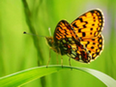 【Win8体验馆】创建Win8图片密码登录