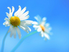 贴心小妙招 Windows 8应用技巧大放送