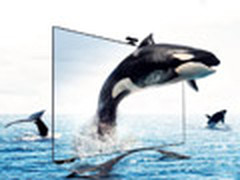 送红酒京券 乐视70寸3D电视京东8999元