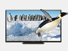 直降300全网最低 52英寸夏普电视5999元