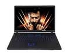 国美疯了 神舟战神880M卡17寸本11399元